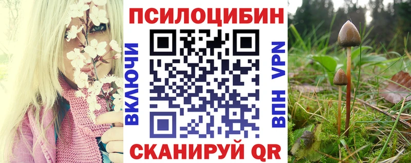 Купить где  Рошаль  Псилоцибиновые грибы прущие грибы 