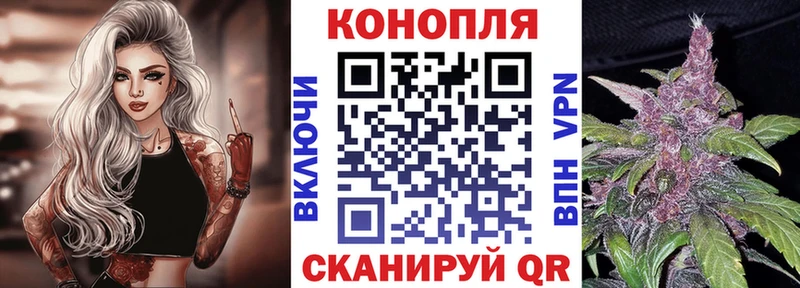 Купить закладки  Рошаль  Канабис конопля 